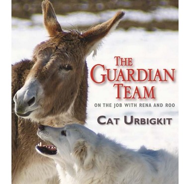 The Guardian Team
